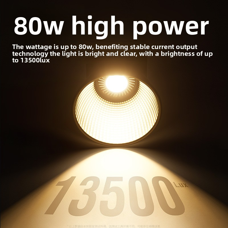 ZU80 High-Power COB Fill Light - مراجعة Photography Of The Year وسعره