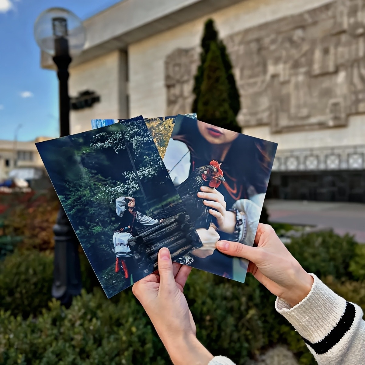 1/3/6Pcs available, Personaliz - مراجعة Photography Website وسعره
