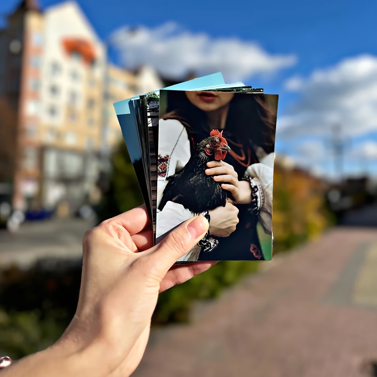 1/3/6Pcs available, Personaliz - مراجعة Photography Website وسعره