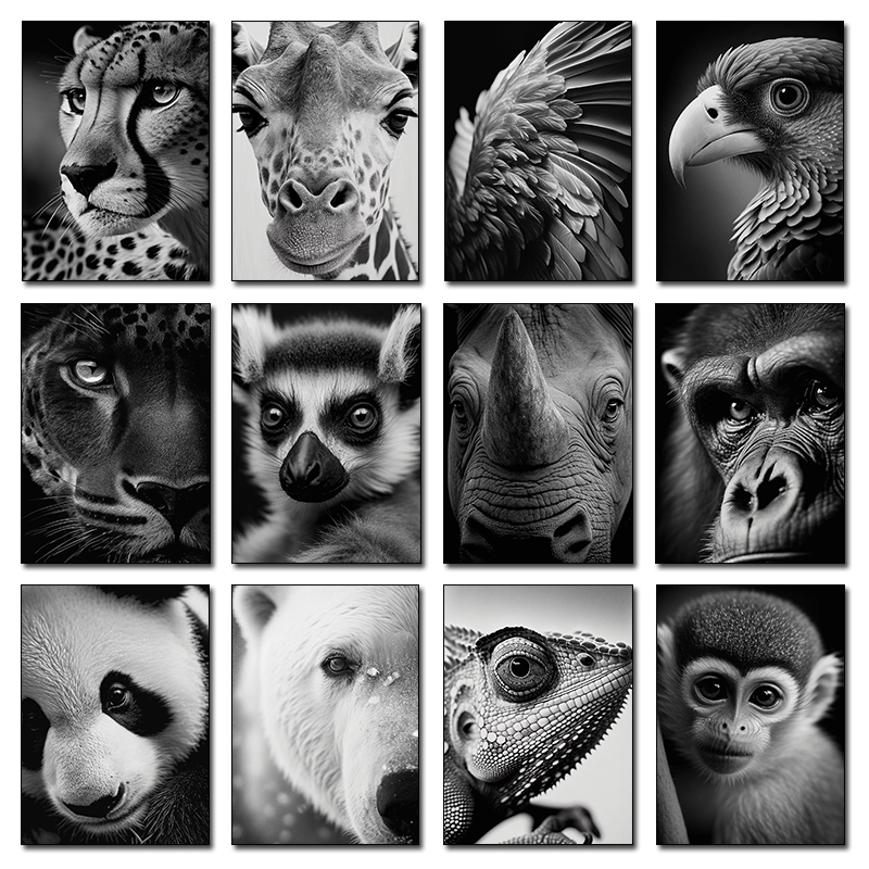 Wildlife Animals Photography P - مراجعة Photography Close Up وسعره