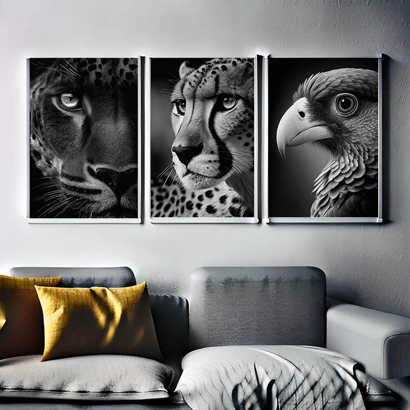 Wildlife Animals Photography P - مراجعة Photography Close Up وسعره