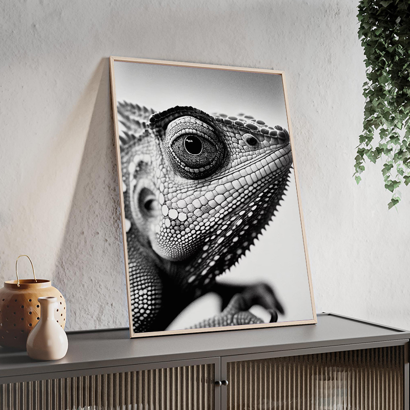 Wildlife Animals Photography P - مراجعة Photography Close Up وسعره